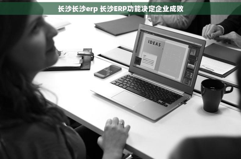 长沙长沙erp 长沙ERP功能决定企业成败