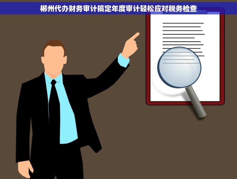 郴州代办财务审计搞定年度审计轻松应对税务检查