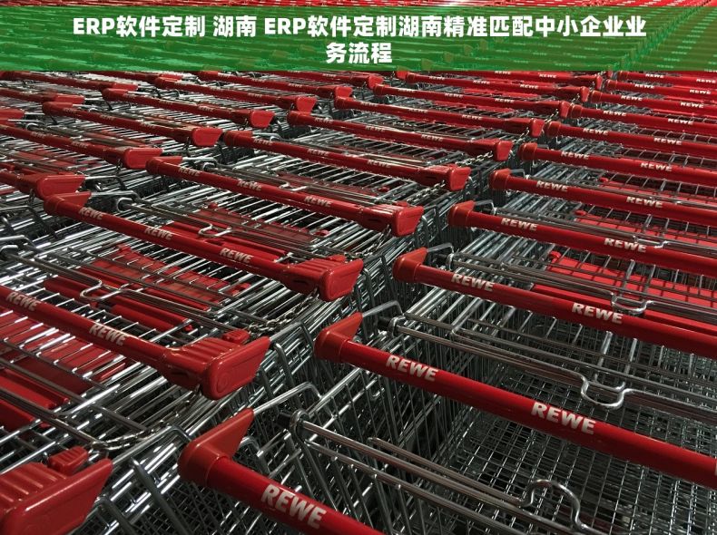 ERP软件定制 湖南 ERP软件定制湖南精准匹配中小企业业务流程