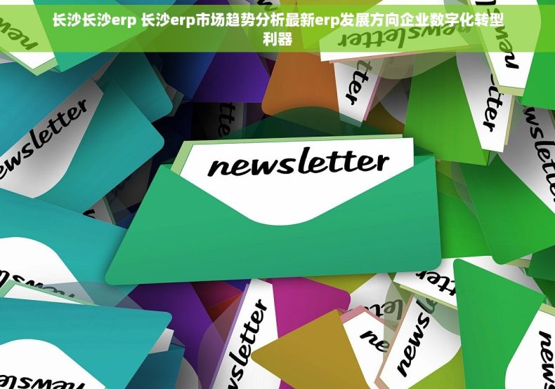 长沙长沙erp 长沙erp市场趋势分析最新erp发展方向企业数字化转型利器