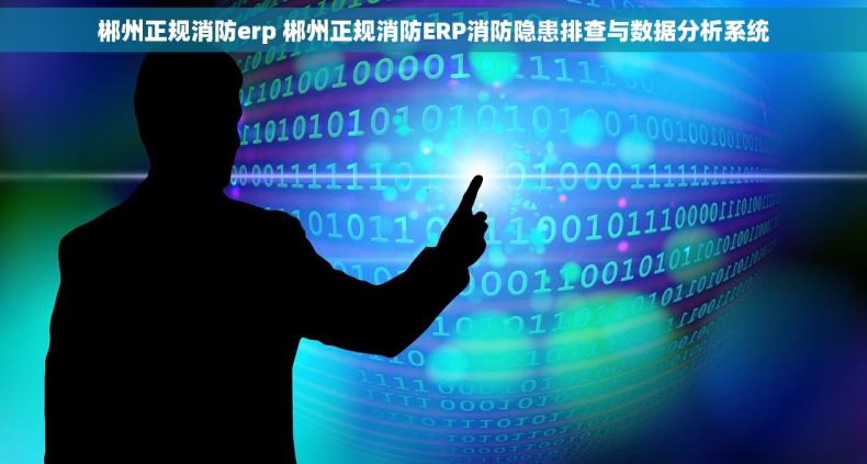 郴州正规消防erp 郴州正规消防ERP消防隐患排查与数据分析系统