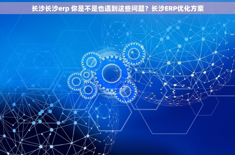 长沙长沙erp 你是不是也遇到这些问题？长沙ERP优化方案