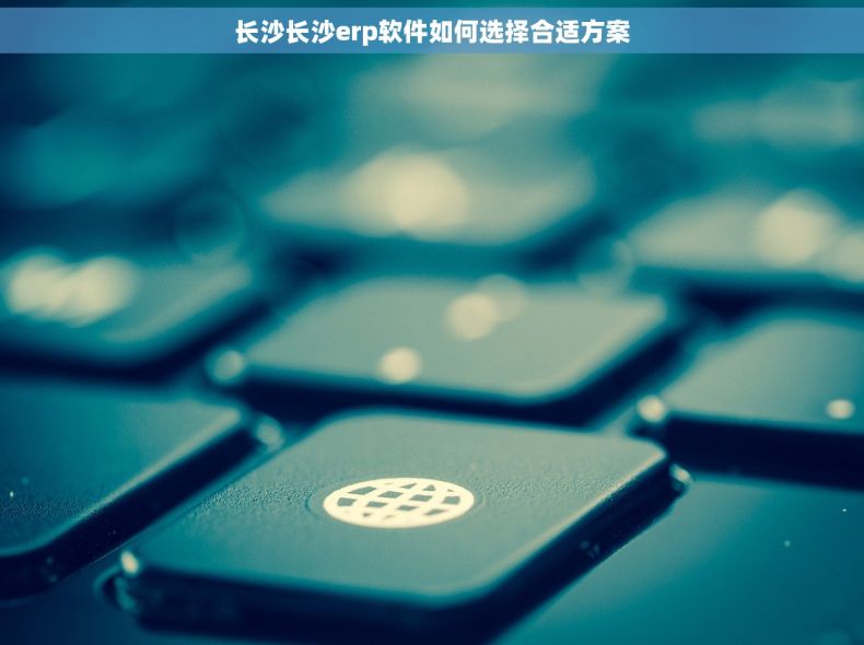 长沙长沙erp软件如何选择合适方案