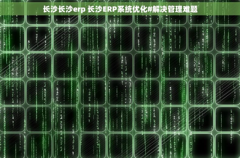 长沙长沙erp 长沙ERP系统优化#解决管理难题