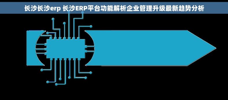 长沙长沙erp 长沙ERP平台功能解析企业管理升级最新趋势分析