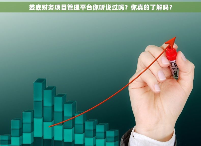 娄底财务项目管理平台你听说过吗？你真的了解吗？
