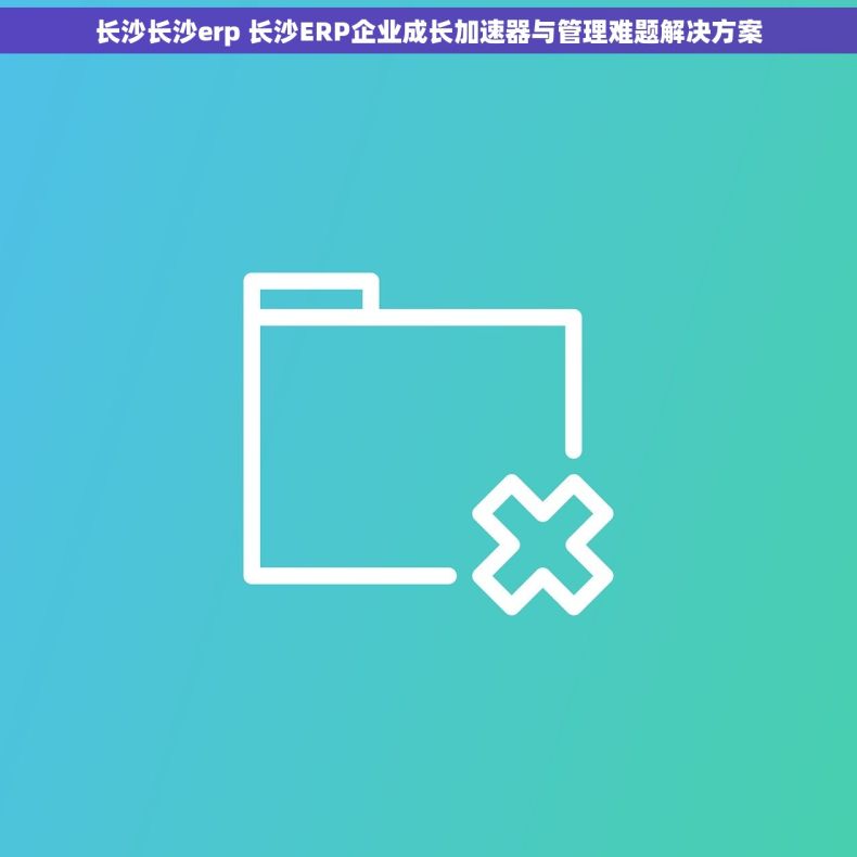 长沙长沙erp 长沙ERP企业成长加速器与管理难题解决方案