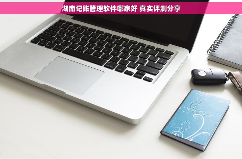 湖南记账管理软件哪家好 真实评测分享