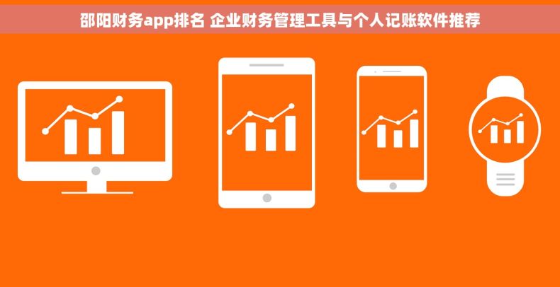 邵阳财务app排名 企业财务管理工具与个人记账软件推荐
