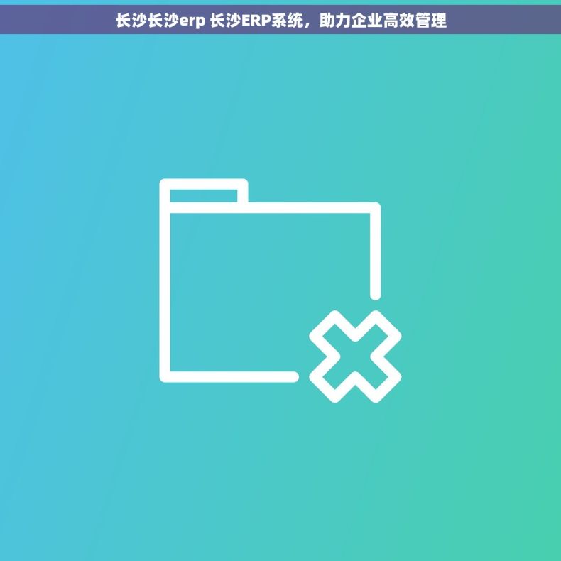 长沙长沙erp 长沙ERP系统，助力企业高效管理