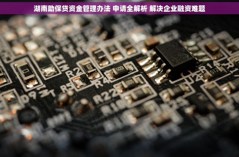 湖南助保贷资金管理办法 申请全解析 解决企业融资难题