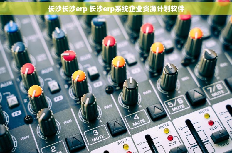 长沙长沙erp 长沙erp系统企业资源计划软件