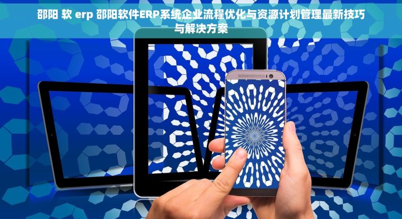 邵阳 软 erp 邵阳软件ERP系统企业流程优化与资源计划管理最新技巧与解决方案