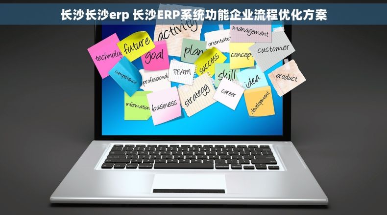 长沙长沙erp 长沙ERP系统功能企业流程优化方案