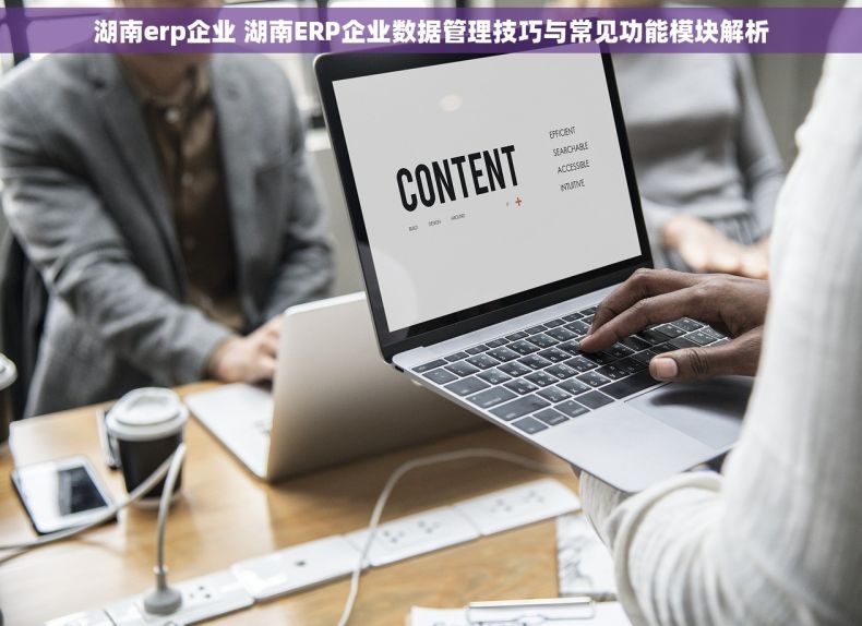湖南erp企业 湖南ERP企业数据管理技巧与常见功能模块解析