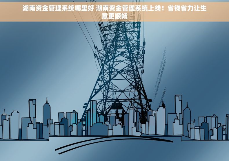 湖南资金管理系统哪里好 湖南资金管理系统上线！省钱省力让生意更顺畅