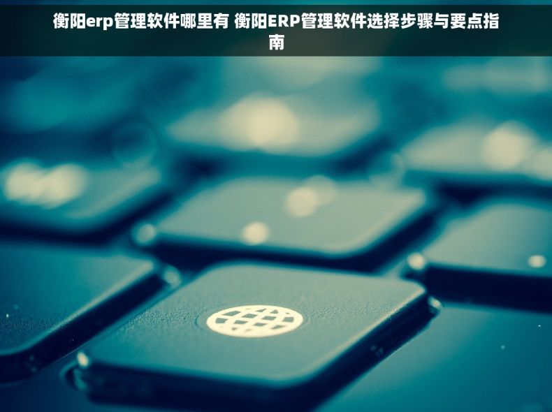衡阳erp管理软件哪里有 衡阳ERP管理软件选择步骤与要点指南