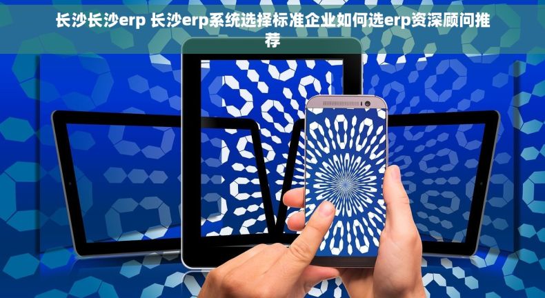长沙长沙erp 长沙erp系统选择标准企业如何选erp资深顾问推荐