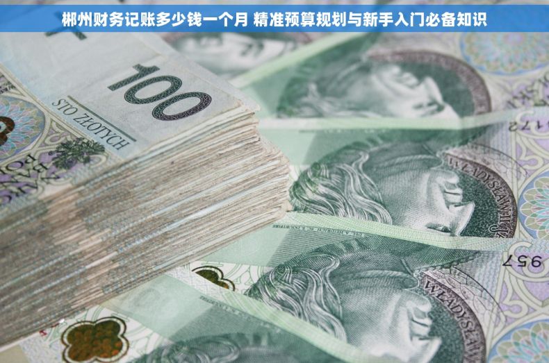 郴州财务记账多少钱一个月 精准预算规划与新手入门必备知识