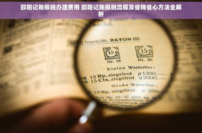 邵阳记账报税办理费用 邵阳记账报税流程及省钱省心方法全解析
