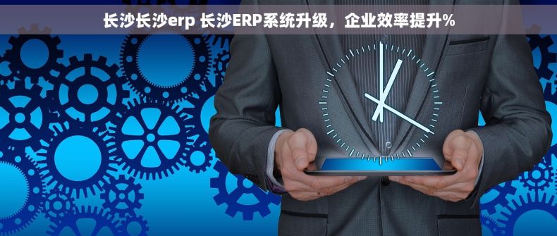 长沙长沙erp 长沙ERP系统升级，企业效率提升%