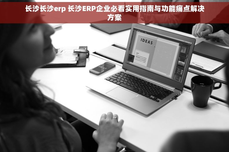 长沙长沙erp 长沙ERP企业必看实用指南与功能痛点解决方案
