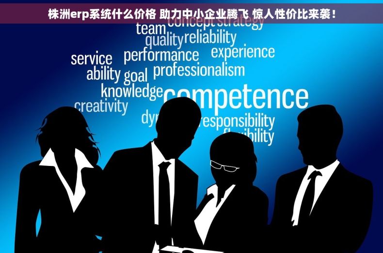 株洲erp系统什么价格 助力中小企业腾飞 惊人性价比来袭！