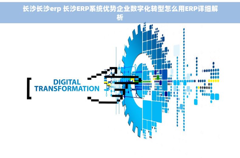 长沙长沙erp 长沙ERP系统优势企业数字化转型怎么用ERP详细解析