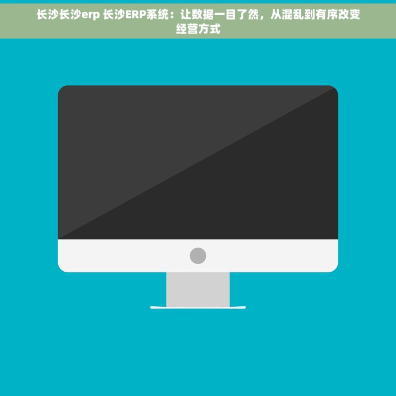 长沙长沙erp 长沙ERP系统：让数据一目了然，从混乱到有序改变经营方式