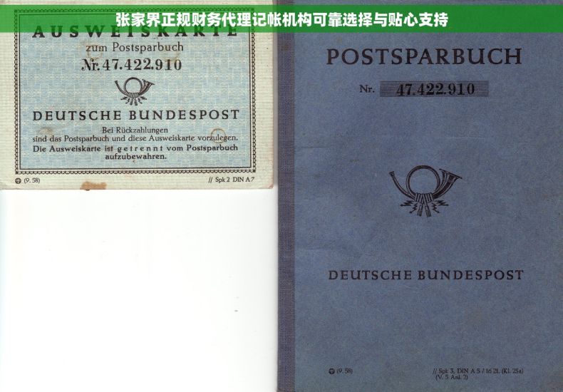 张家界正规财务代理记帐机构可靠选择与贴心支持