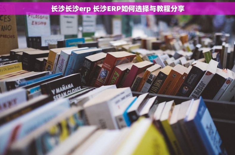 长沙长沙erp 长沙ERP如何选择与教程分享