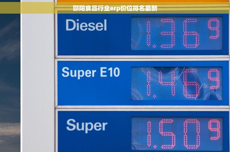 邵阳食品行业erp价位排名最新