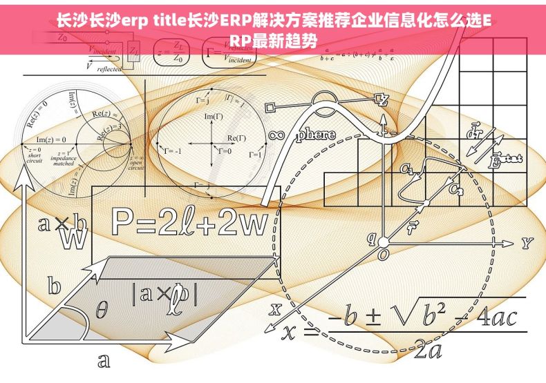 长沙长沙erp title长沙ERP解决方案推荐企业信息化怎么选ERP最新趋势