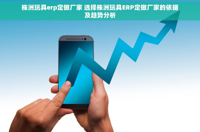 株洲玩具erp定做厂家 选择株洲玩具ERP定做厂家的依据及趋势分析