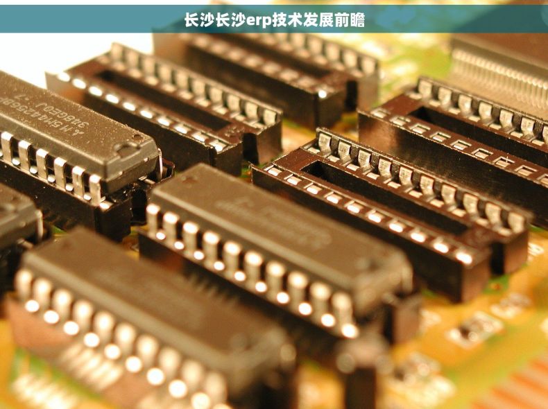 长沙长沙erp技术发展前瞻