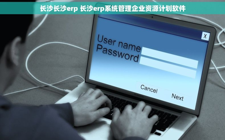 长沙长沙erp 长沙erp系统管理企业资源计划软件