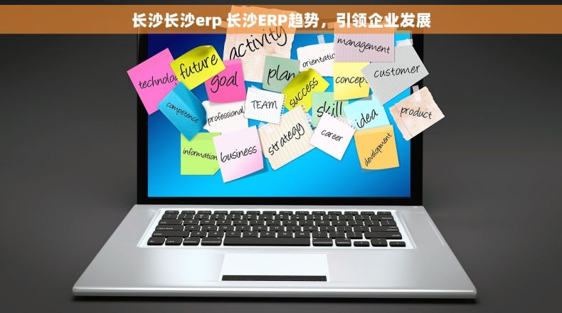 长沙长沙erp 长沙ERP趋势，引领企业发展