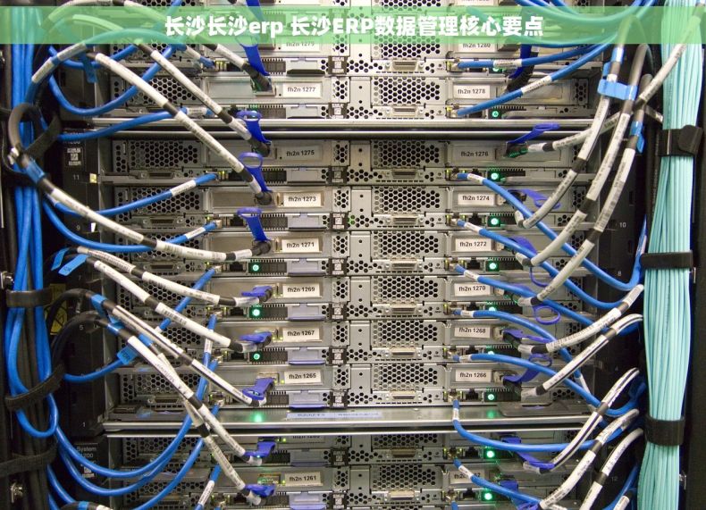 长沙长沙erp 长沙ERP数据管理核心要点