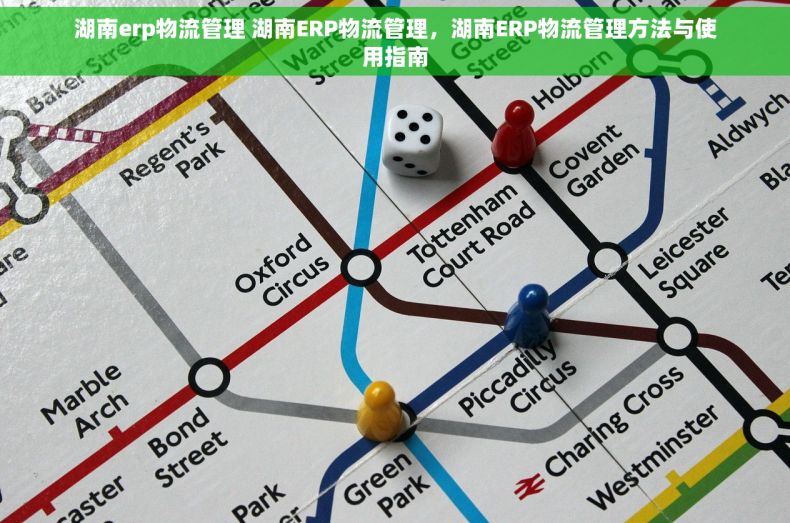 湖南erp物流管理 湖南ERP物流管理，湖南ERP物流管理方法与使用指南
