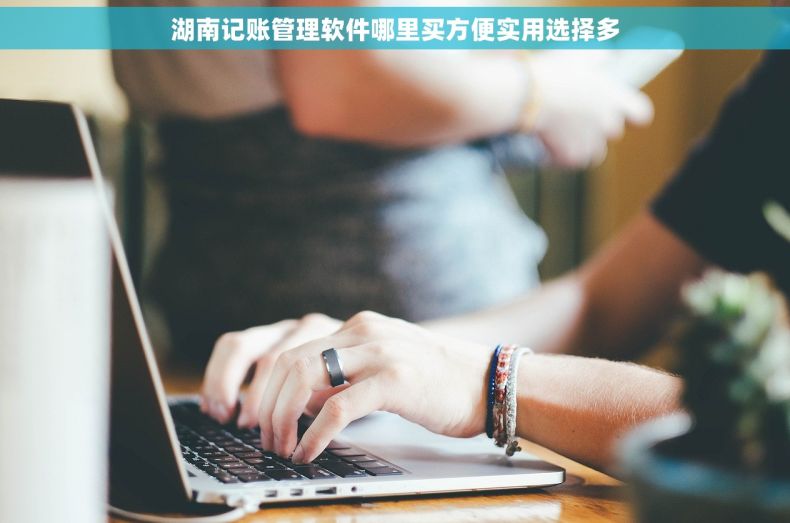 湖南记账管理软件哪里买方便实用选择多