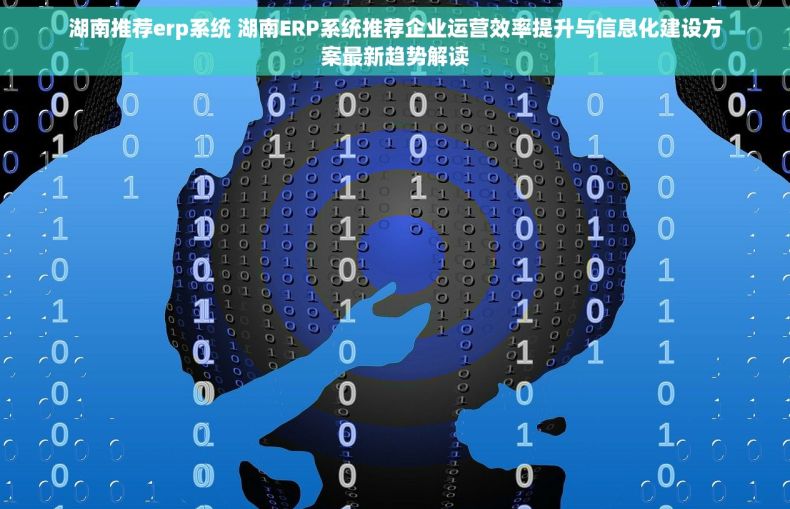 湖南推荐erp系统 湖南ERP系统推荐企业运营效率提升与信息化建设方案最新趋势解读