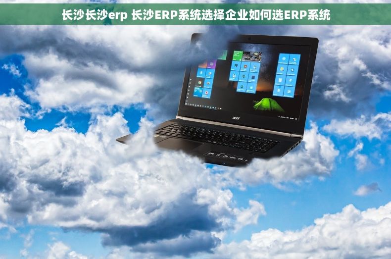 长沙长沙erp 长沙ERP系统选择企业如何选ERP系统