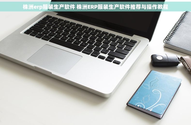 株洲erp服装生产软件 株洲ERP服装生产软件推荐与操作教程