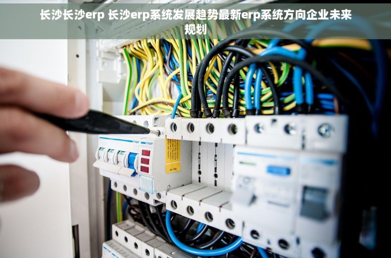 长沙长沙erp 长沙erp系统发展趋势最新erp系统方向企业未来规划