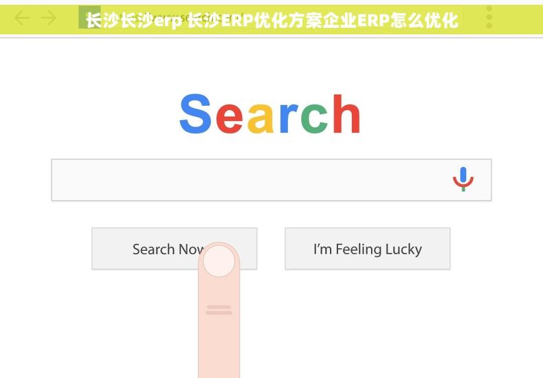 长沙长沙erp 长沙ERP优化方案企业ERP怎么优化