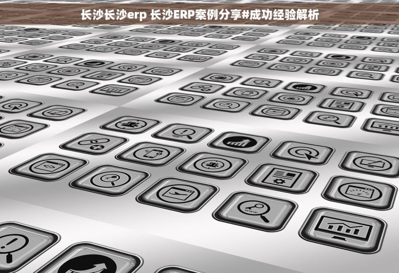 长沙长沙erp 长沙ERP案例分享#成功经验解析