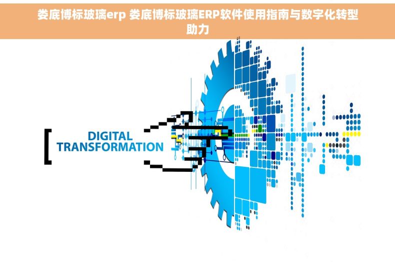 娄底博标玻璃erp 娄底博标玻璃ERP软件使用指南与数字化转型助力