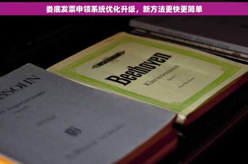 娄底发票申领系统优化升级，新方法更快更简单