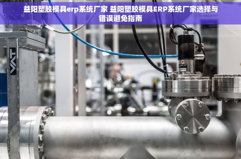 益阳塑胶模具erp系统厂家 益阳塑胶模具ERP系统厂家选择与错误避免指南