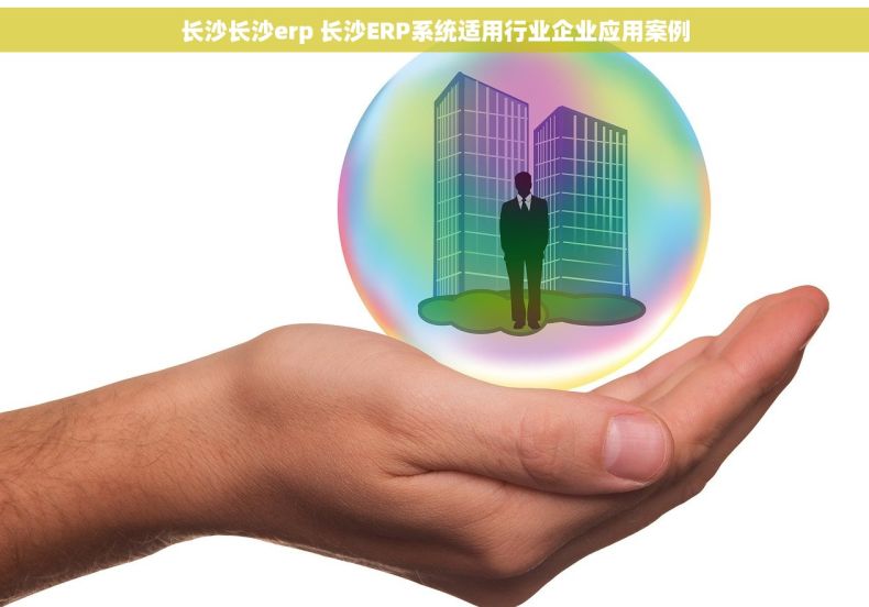 长沙长沙erp 长沙ERP系统适用行业企业应用案例